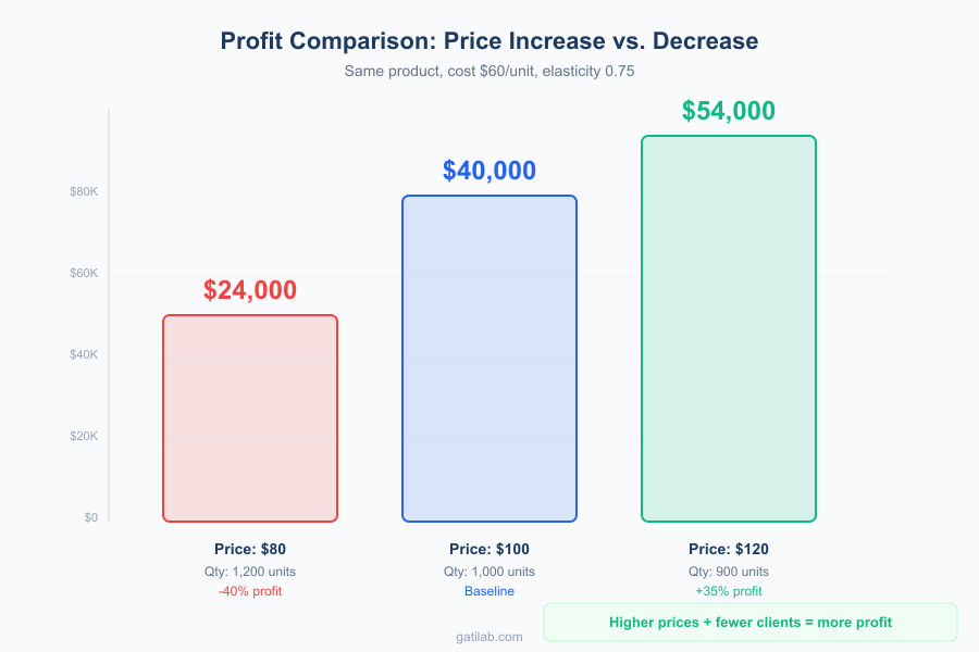 Pricing Elasticity Mathematics - Infographic 3